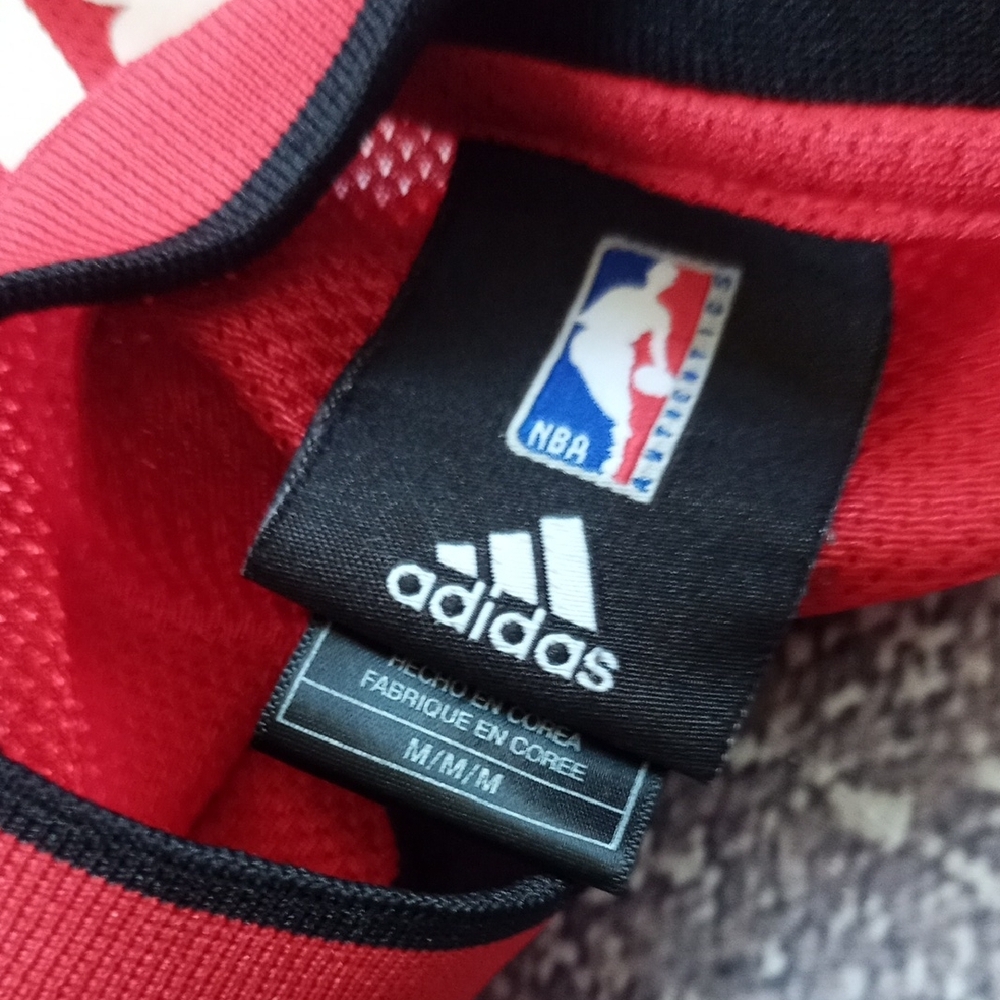 NBA TJ FORD #11 TORONTO RAPTORS BASKETBALL JERSEY - Picture 3 of 9